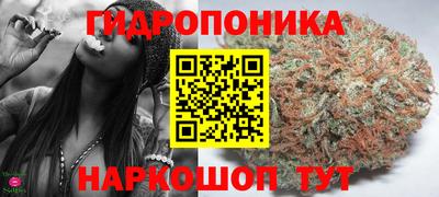 крисы Будённовск