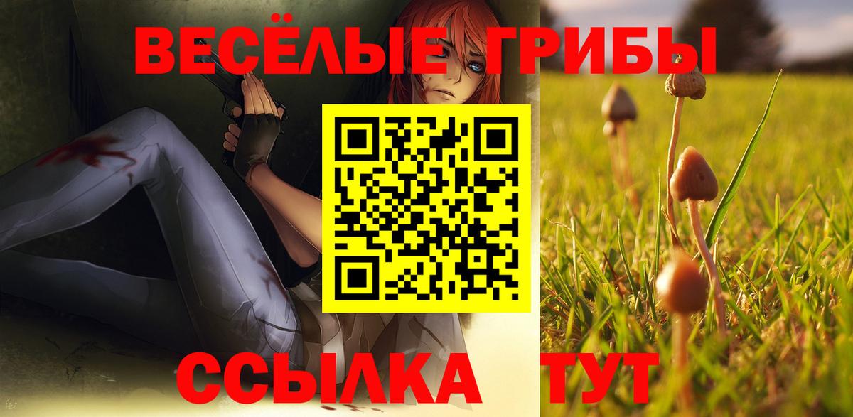 как найти закладки  Галлюциногенные грибы Psilocybe  Вход с VPN  Саранск 